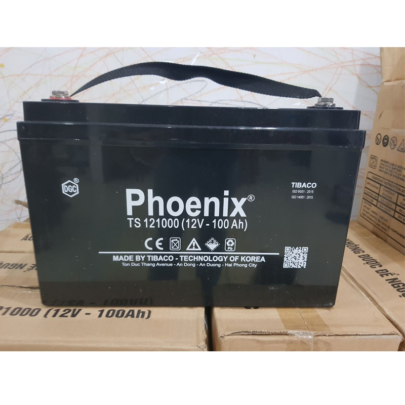 Ắc Quy Khô Phoenix TS121000