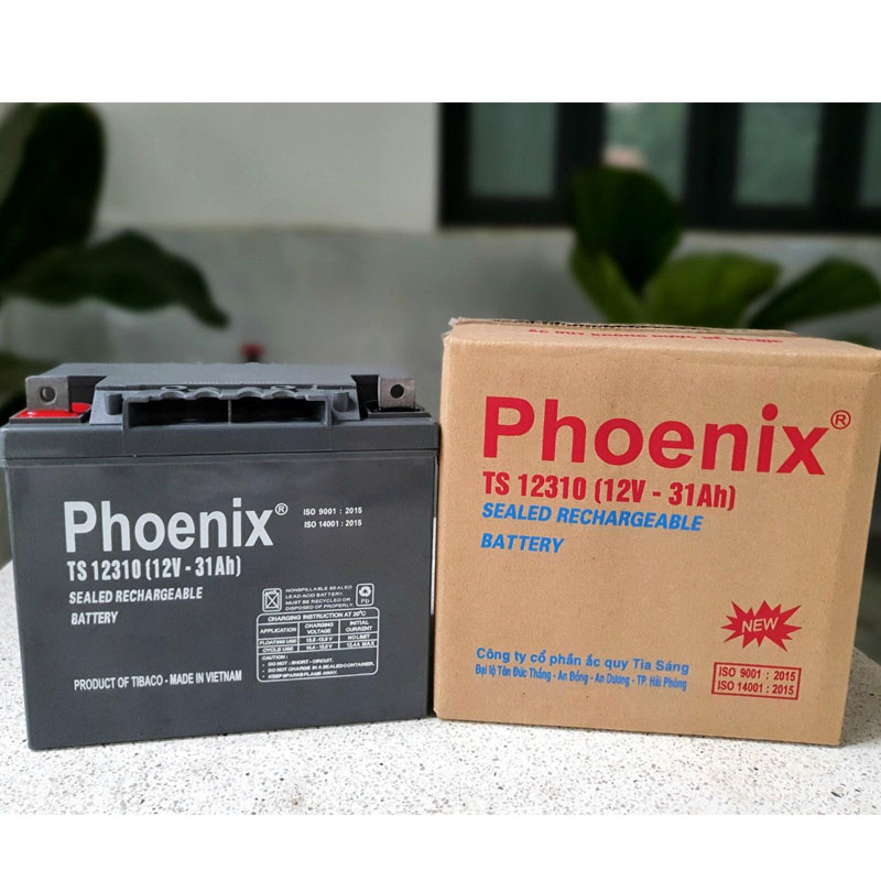 Ắc Quy Khô Phoenix TS121000