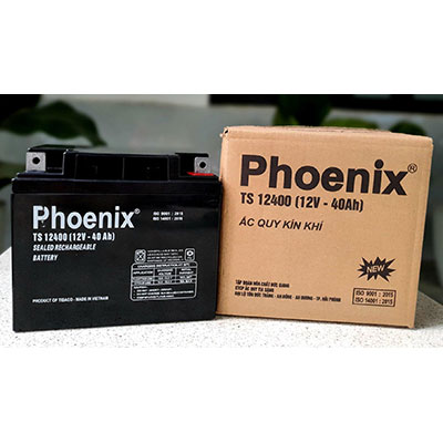 Ắc Quy Khô Phoenix TS1272