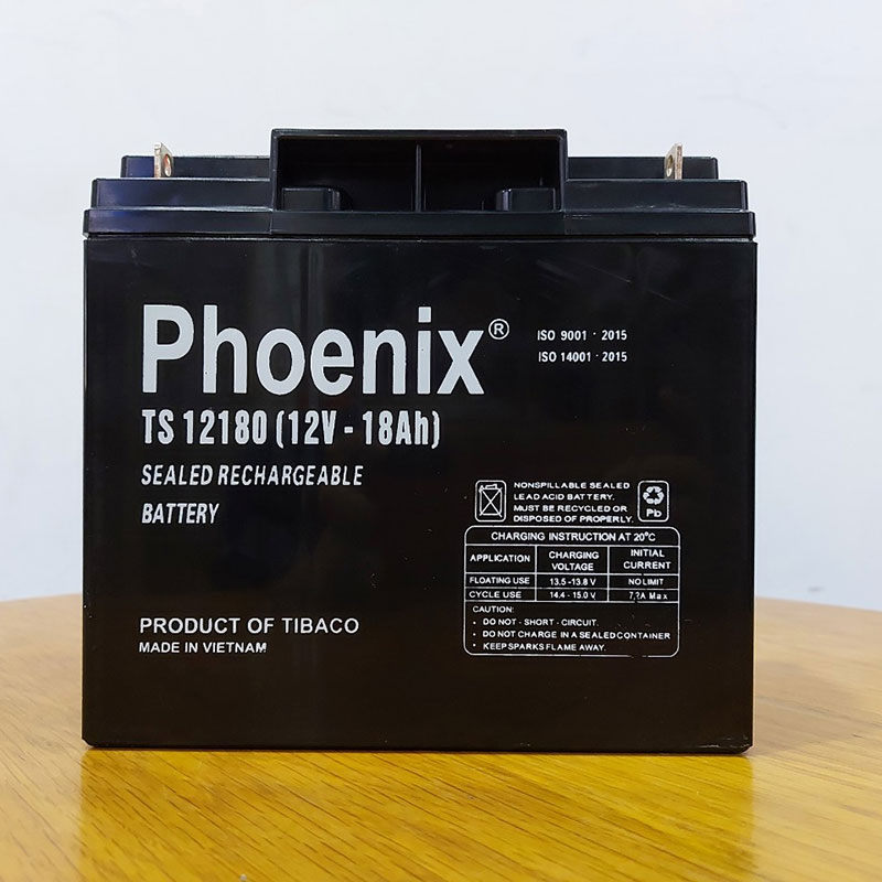 Ắc Quy Khô Phoenix TS121000