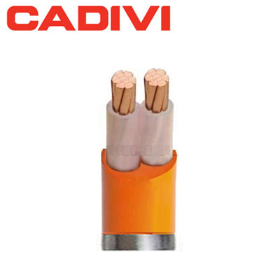 Cáp điện chậm cháy Cadivi CXV/FR-2x1.5