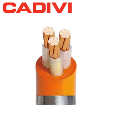 Dây Cáp Điện Cadivi CXV/FR 3x1.0