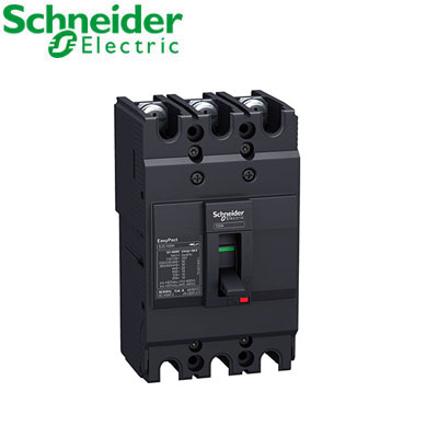 Aptomat Khối Schneider EZC100B3050
