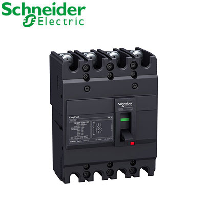 Aptomat Khối Schneider EZC100N4050