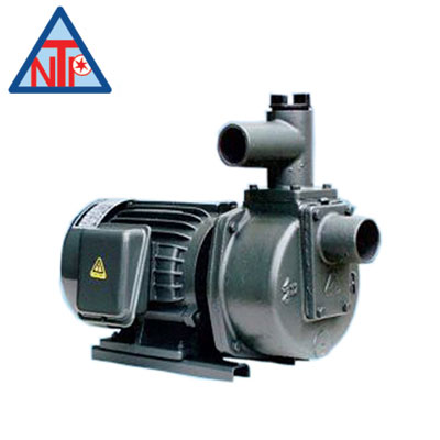 Bơm tự hút NTP 2HP HSP250-11.5 265