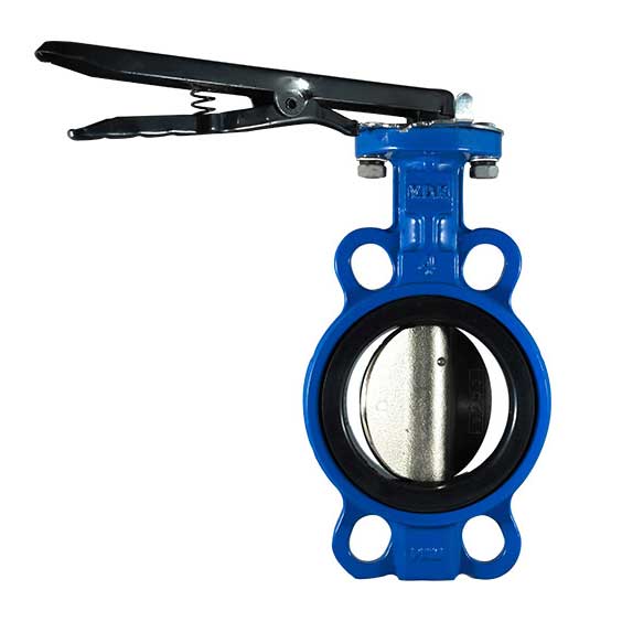 Van Bướm Gang Samwoo DN125 Lắp Kẹp