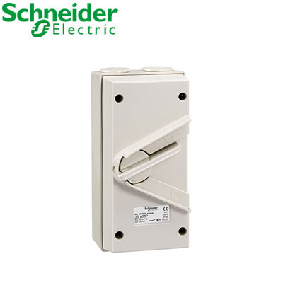 Isolator Schneider 2P WHD20_GY