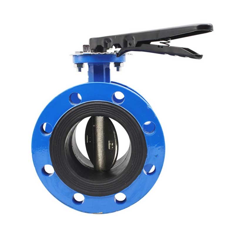 Van Bướm Samwoo DN250 Nối Mặt Bích
