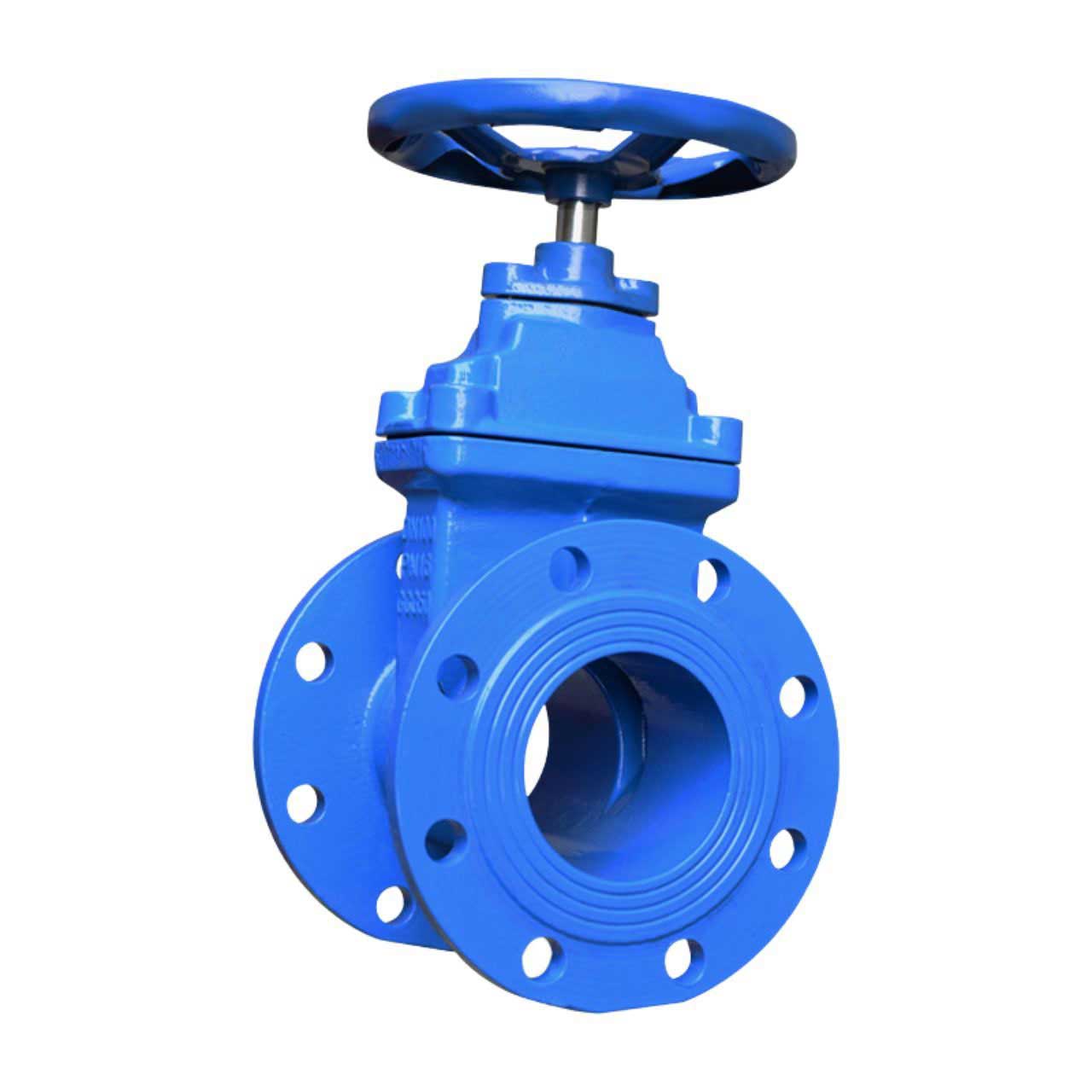 Van Cổng Gang Ty Chìm Samwoo DN250